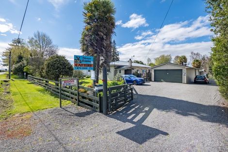 Photo of property in 10 Tollemache Road West, Longlands, Hastings, 4120