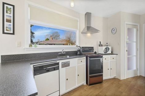 Photo of property in 19 Cavan Place, Mairehau, Christchurch, 8052