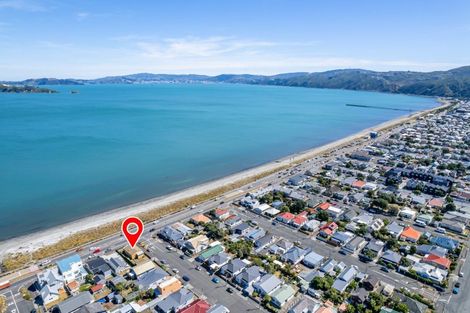 Photo of property in 217 The Esplanade, Petone, Lower Hutt, 5012