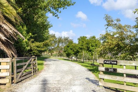 Photo of property in 345 Green Road, Matakana, Warkworth, 0985