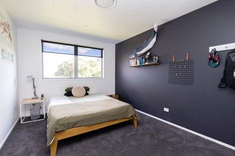 Photo of property in 30 Orchard East Road, Ngatea, 3503