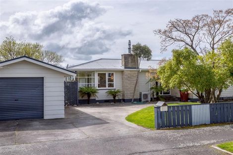 Photo of property in 147 Cockburn Street, Kuripuni, Masterton, 5810