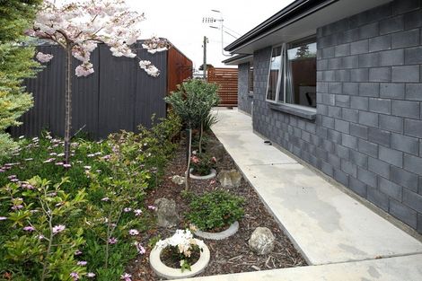 Photo of property in 203 Hapuka Street, Frimley, Hastings, 4120