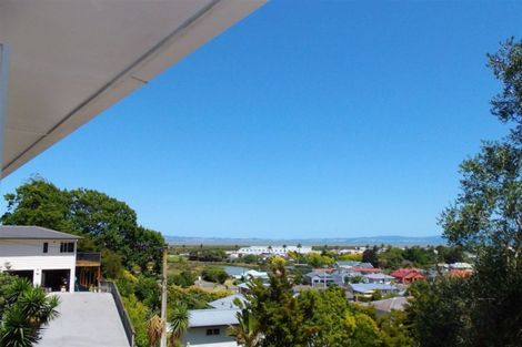 Photo of property in 110 Brunton Crescent, Thames, 3500