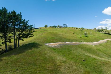 Photo of property in 19 Toots Drive, Kawakawa, 0282