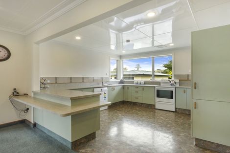 Photo of property in 101 Johnson Street, Milton, 9220