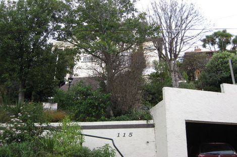 Photo of property in 115 Bedford Street, Saint Clair, Dunedin, 9012