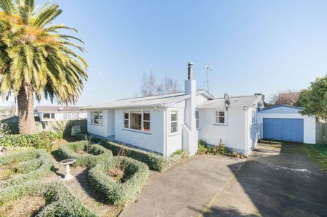 Photo of property in 113 Stanford Street North, Ashhurst, 4810