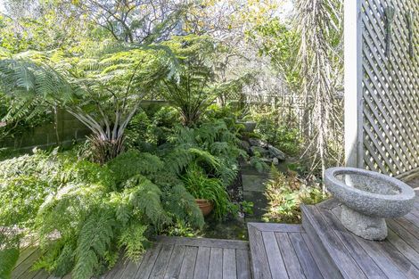 Photo of property in 8 Walmer Street, Hataitai, Wellington, 6021