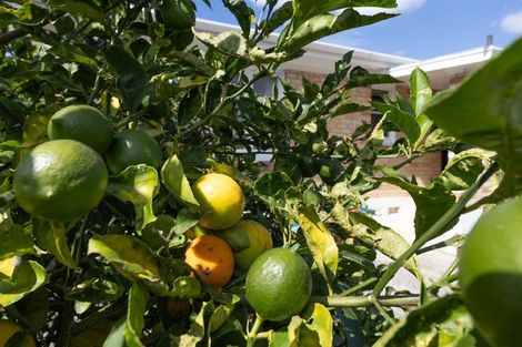 Photo of property in 576 Great South Road, Huntly, 3700