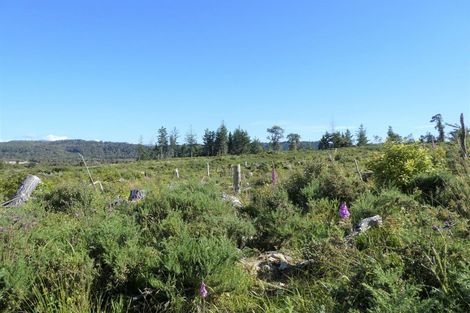 Photo of property in 756b Rutherglen Road, Marsden, Greymouth, 7872