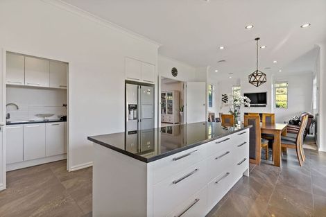 Photo of property in 16 Michael Bosher Way, Flat Bush, Auckland, 2019