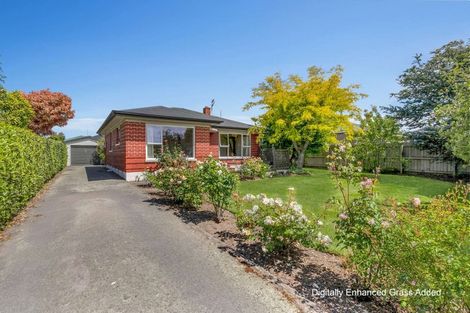 Photo of property in 17 Harrison Street, Allenton, Ashburton, 7700