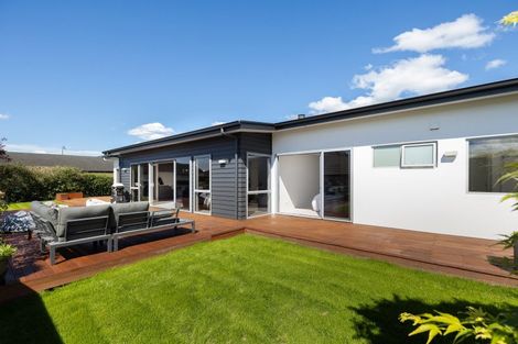 Photo of property in 82a Chelsea Avenue, Richmond, 7020