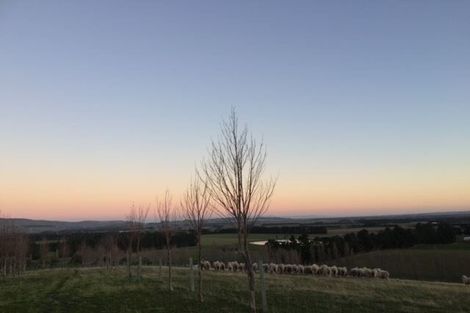 Photo of property in 329 Mackenzies Road, Waipara, Amberley, 7483