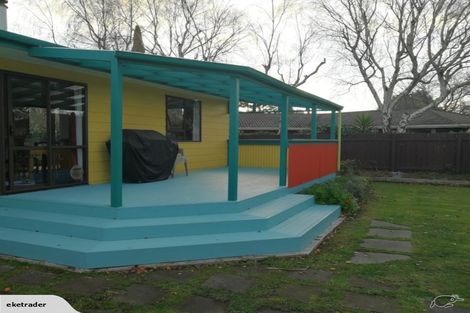 Photo of property in 134 Winchester Street, Ashhurst, 4810