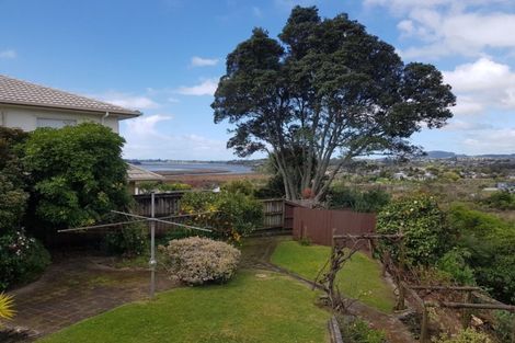 Photo of property in 13 Chadwick Road, Greerton, Tauranga, 3112