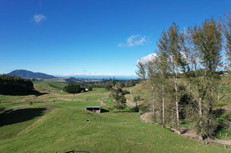 Photo of property in 61 Oak Drive, Wairakei, Taupo, 3384