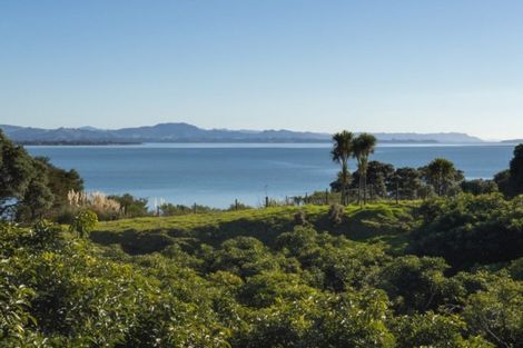 Photo of property in 333 Pahoia Road, Whakamarama, Tauranga, 3172