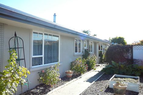 Photo of property in 19 Boundary Road, Alexandra, 9320