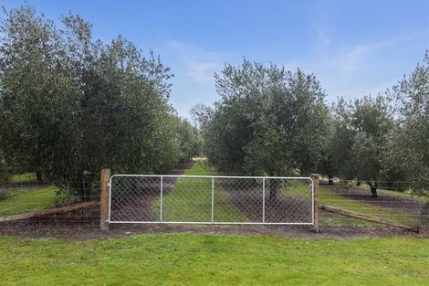 Photo of property in 152 Omihi Road, Waipara, Amberley, 7483