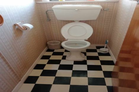 Photo of property in 19 Balmoral Street, Levin, 5510