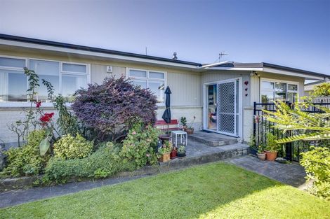 Photo of property in 18 Plunket Street, Tamatea, Napier, 4112