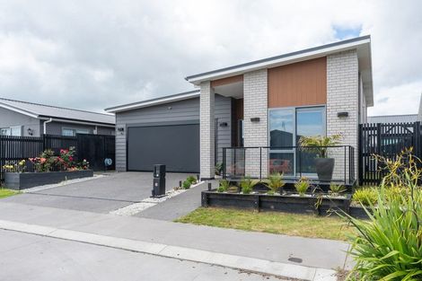 Photo of property in 33 Couldsack Avenue, Chartwell, Hamilton, 3210