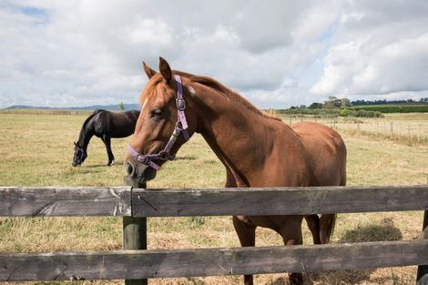 Photo of property in 83 Settlement Road, Puni, Pukekohe, 2678