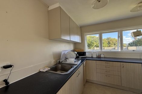 Photo of property in 28 Larissa Avenue, Henderson, Auckland, 0610