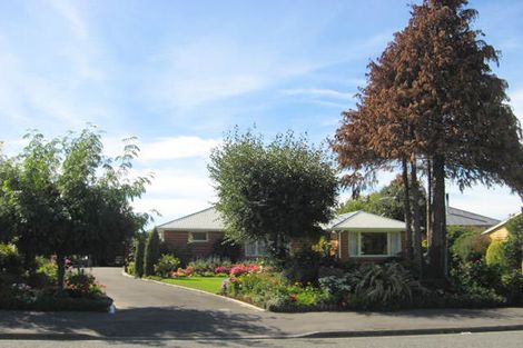 Photo of property in 35a Suffolk Street, Hampstead, Ashburton, 7700