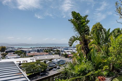 Photo of property in 156 Battery Road, Hospital Hill, Napier, 4110