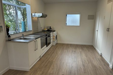 Photo of property in 66 Vermont Street, Ponsonby, Auckland, 1011