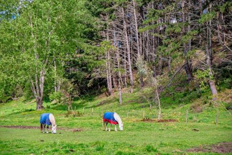 Photo of property in 2877 State Highway 30, Rotoma, Whakatane, 3192