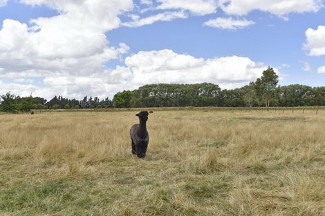 Photo of property in 135 Bentleys Road, Hawarden, 7385