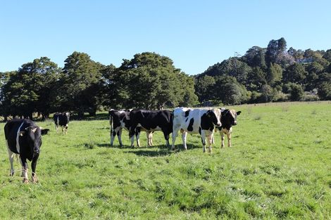 Photo of property in 1848 State Highway 1, Whakapara, Hikurangi, 0182