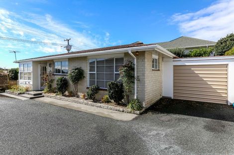 Photo of property in 38b Rimu Street, Strandon, New Plymouth, 4312