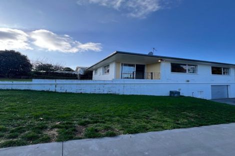 Photo of property in 29 Alison Street, Hamilton Lake, Hamilton, 3204