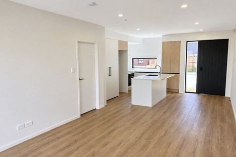 Photo of property in 17 Clay Works Lane, New Lynn, Auckland, 0600