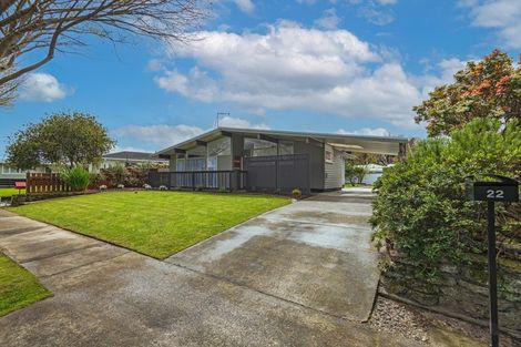 Photo of property in 22 Wyndham Street, Awapuni, Palmerston North, 4412