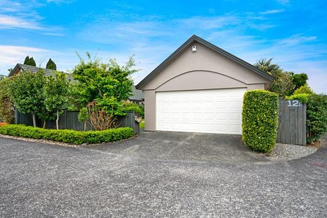 Photo of property in 12e Mead Street, Avondale, Auckland, 1026