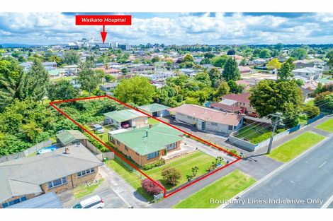 Photo of property in 64 Pine Avenue, Melville, Hamilton, 3206