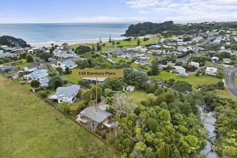 Photo of property in 158 Bambury Place, Onemana, Whangamata, 3691