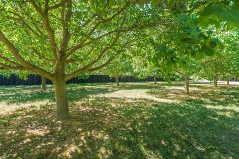 Photo of property in 138 Cullen Avenue, Swannanoa, 7475