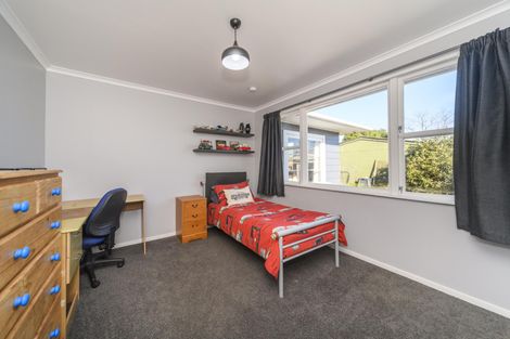Photo of property in 21 Mokau Place, Terrace End, Palmerston North, 4410