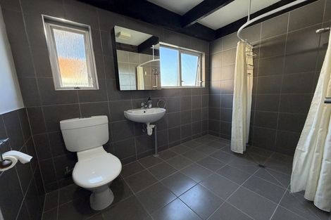 Photo of property in 119a Tiro Tiro Road, Levin, 5510