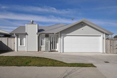 Photo of property in 254 Victoria Street West, Pukekohe, 2120