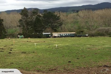 Photo of property in 19 Rifle Range Road, Waihi, 3682