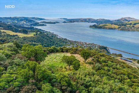 Photo of property in 66 Kakapo Street, Saint Leonards, Dunedin, 9022