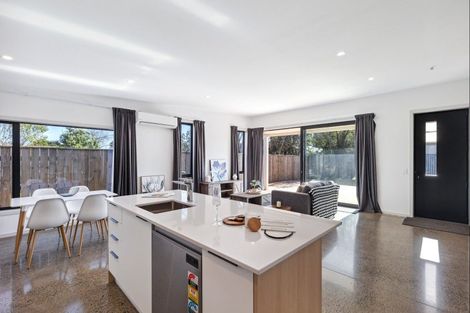 Photo of property in 45a Winchester Street, Levin, 5510